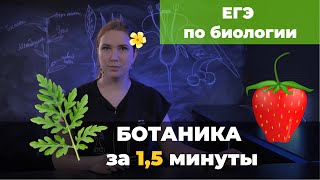 Вся ботаника к ЕГЭ за 1,5 минуты