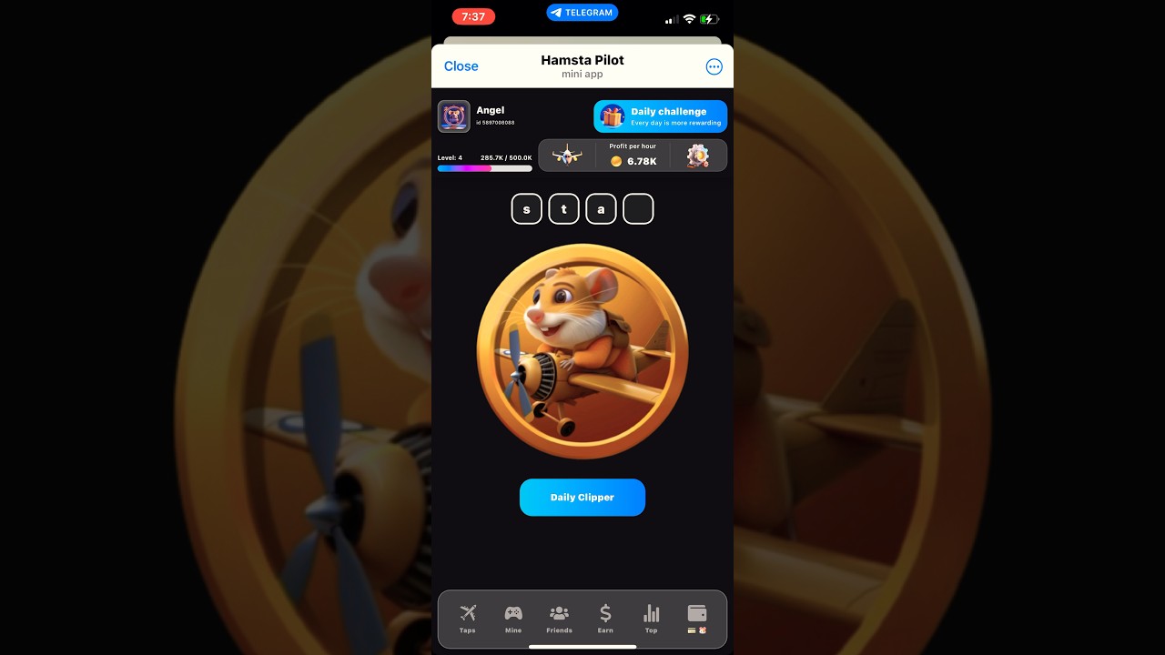 Hamsta Pilot Daily clipper 19 August 2024: