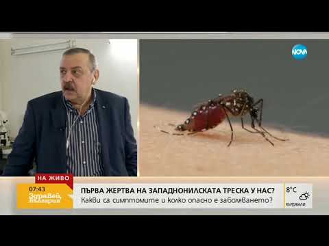 Видео: Физически домашни средства за червей котки и кучета