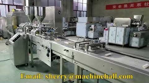 Automatic Spring Roll Production Line, Egg Roll Making Machine