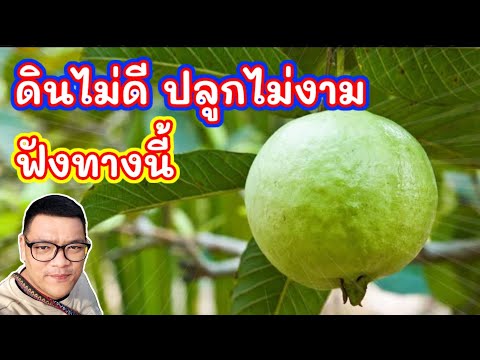 ผลสลากกินแบ่งรัฐบาล วันที่ 1 พย. 2567