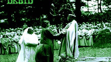 Druid - Roots & Beings