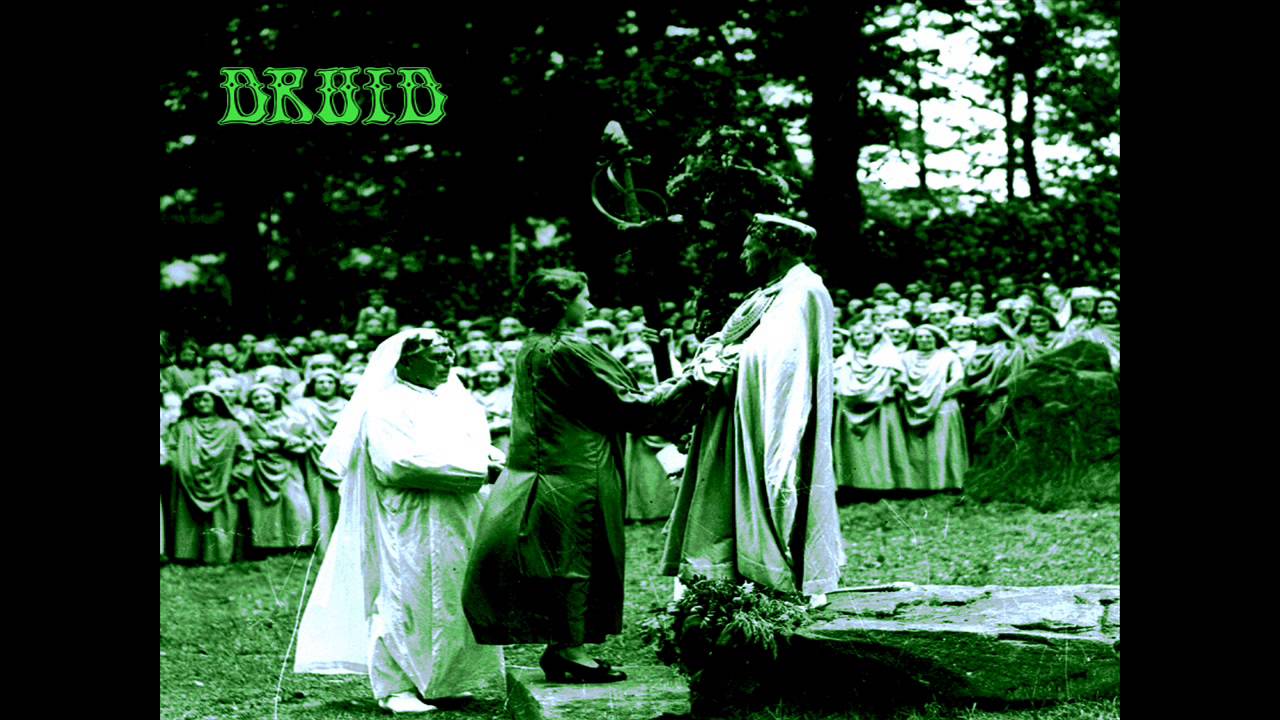 Druid - Roots & Beings
