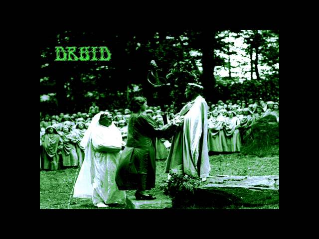 Druid - Roots & Beings