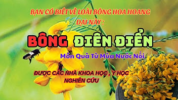 Sống thọ & sống khỏe:Bông Điên Điển –Món quà từ Mùa Nước Nổi.Tác Dụng Chữa Bệnh,Sự Thật Ít Ai Biết!