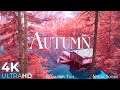 Autumn melodies  relaxation film 4k  peaceful relaxing music  nature 4k ultra.