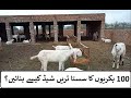 Cost to build a farm shed 