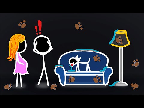 ვიდეო: შეიძლება ძაღლი იყოს ალერგიული კატების მიმართ?