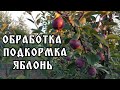 ПОДКОРМКА И ОБРАБОТКА САДА