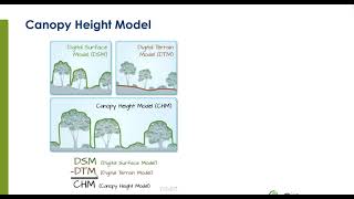 WebODM - Estimating Canopy Height Model (CHM) from DTM and DSM