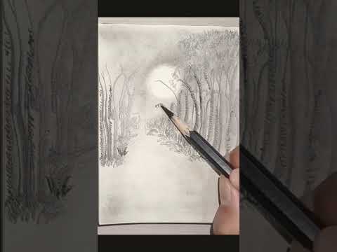 Drawing Pencil The Moonlight Viral Shorts Pencildrawing Sketch Artist