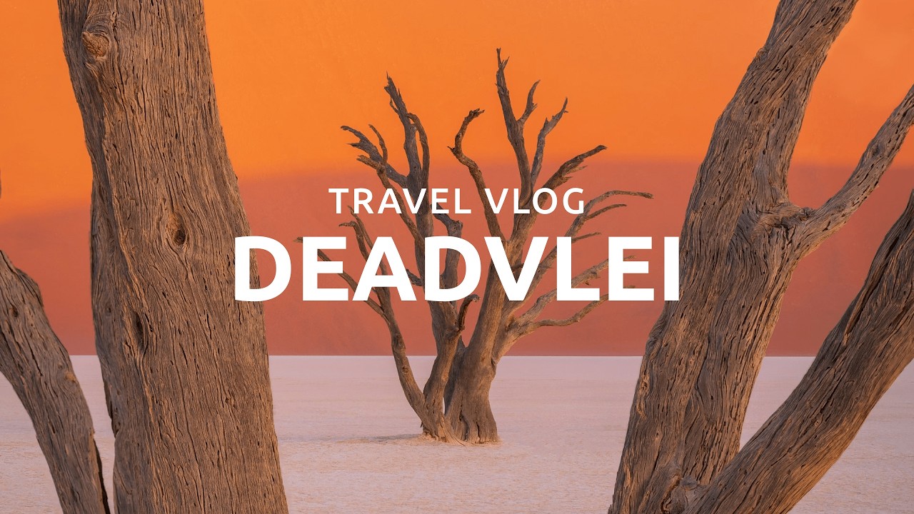 The Most Surreal Place on Earth? NAMIBIA Travel Vlog 🇳🇦