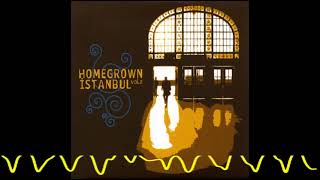 Orient Expressions & Rojin - Nare (Homegrown Istanbul, Vol.2 - 2008) Resimi