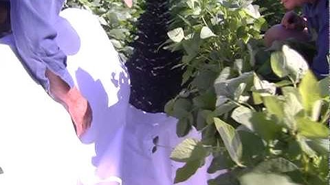 Beat Sheet Sampling with Hugh Brier