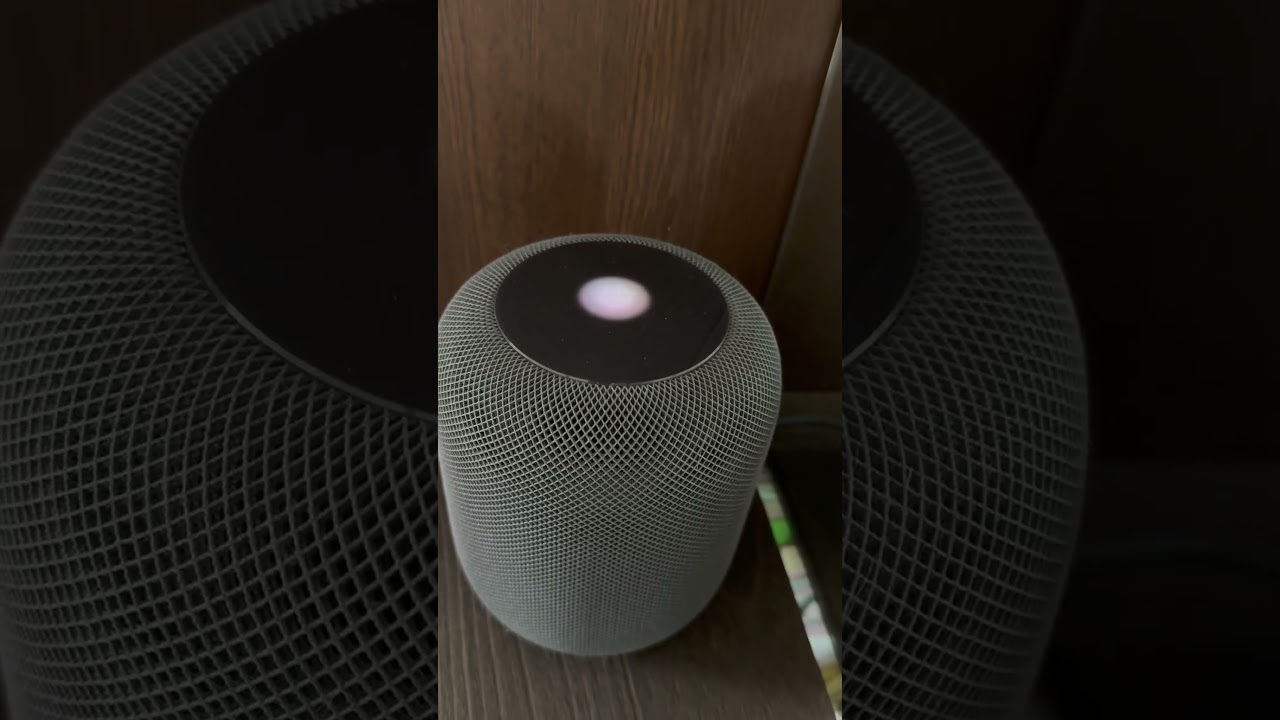 HomePod第一世代と第二世代長く使った私が甲乙つけるなら | カメラと猫