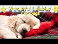 Sleep music for puppies soft lullabies  calm relax your dog  lullaby for dogs dog music