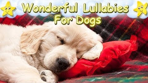 Music For Puppies ♫ Relax Your Dog Effectively Within Minutes