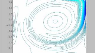 Navier-Stokes - driven cavity - vorticity