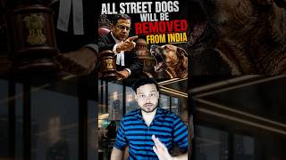 FULL War On Street Dogs By Supreme Court of India - Biggest Indian PUBLIC Reform #shorts