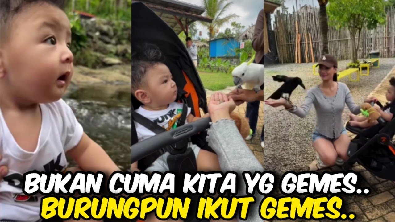 ENDUW BAYI AJAIB ‼️SAMPEK BURUNGPUN ANTENG DAN TENANG DEKAT ENDUW@WARGANETKONOHA-y3c 