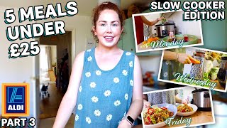 5 SLOW COOKER MEALS FOR UNDER £25 FROM ALDI | Summer Low Budget Slow Cooker Recipes 2022