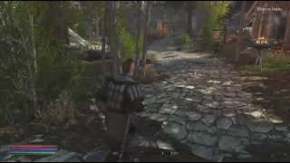 Skyrim Moded Showcase PS5