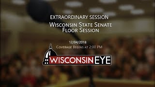 Wisconsin State Senate Floor Session