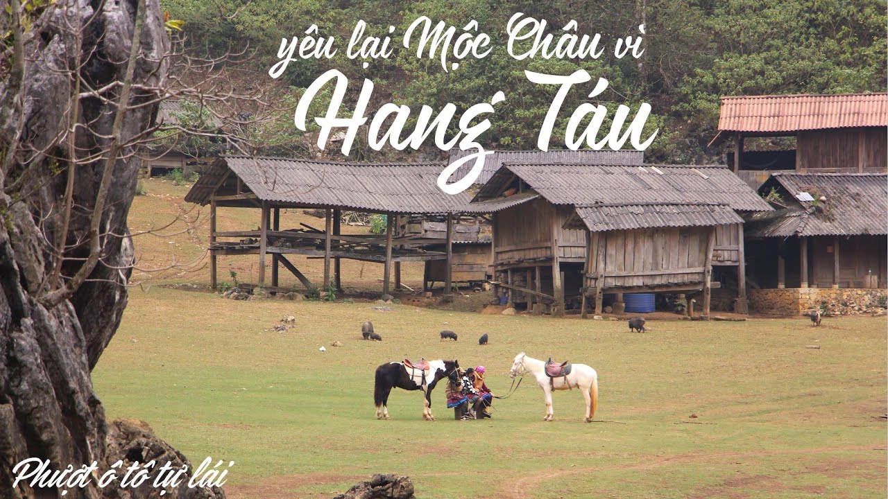 Yêu lại Mộc Châu vì Hang Táu - Ngôi làng nguyên thủy giữa núi rừng Tây Bắc