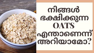 നിങ്ങൾ ഭക്ഷിക്കുന്ന OATS എന്താണെന്ന് അറിയാമോ??||what is OATS #kochuarivukal #oats #malayalam #health