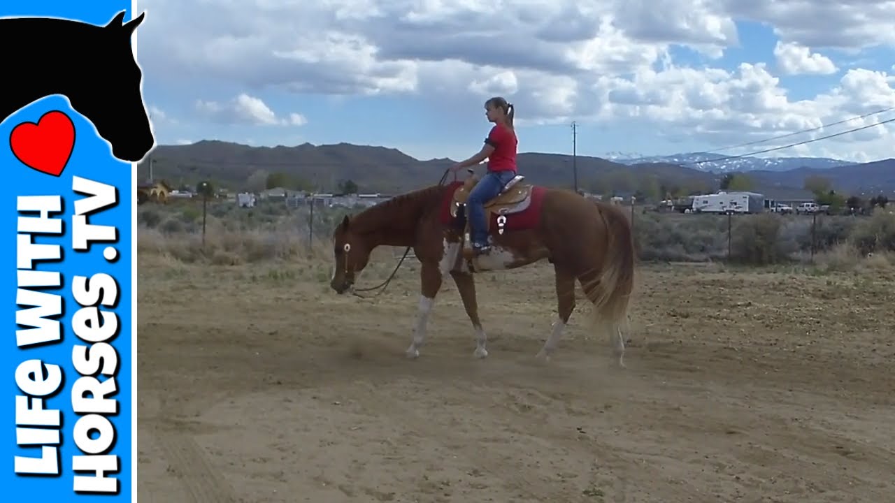 Our 2nd Virtual Horse Show Entry Walk/jog Western Pleasure 19 & over YouTube Our 2nd Virtual Horse Show Entry Walk/jog Western Pleasure 19 & over YouTube