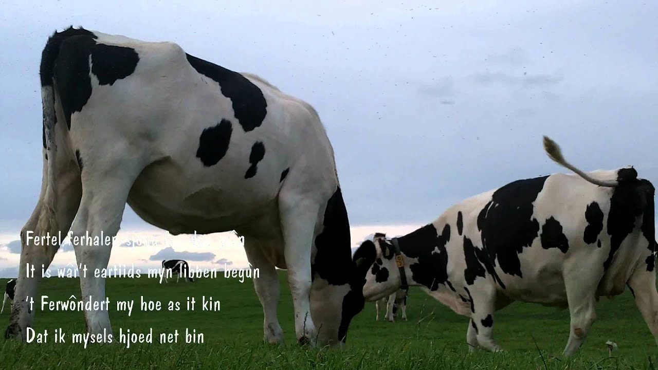 ♪ John Wright & Rolling Home,  