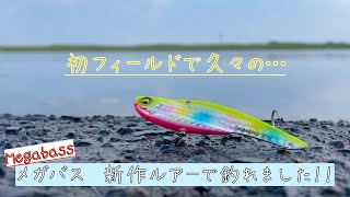 メガバス　新作ルアーで釣れました！