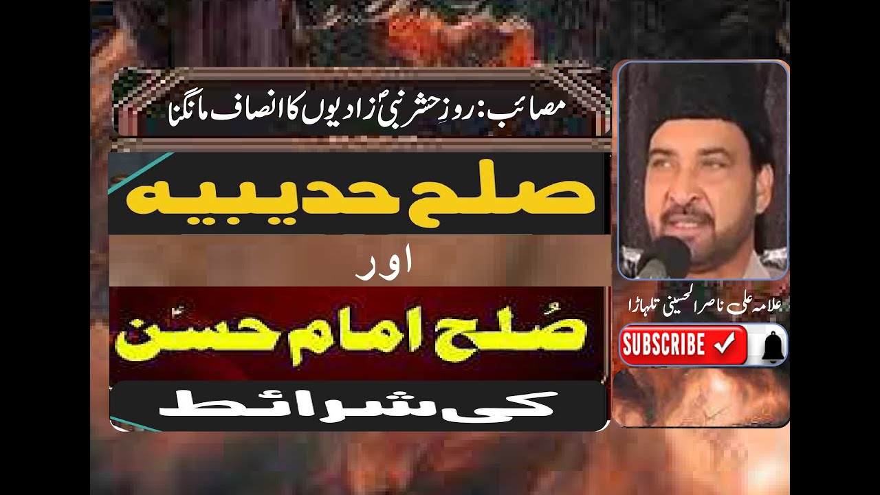 Allama Ali Nasir Al Hussaini Talhara I Sulah e Hudaibiya I Imam Hassan (as) I Bibi ka Insaf Mangna