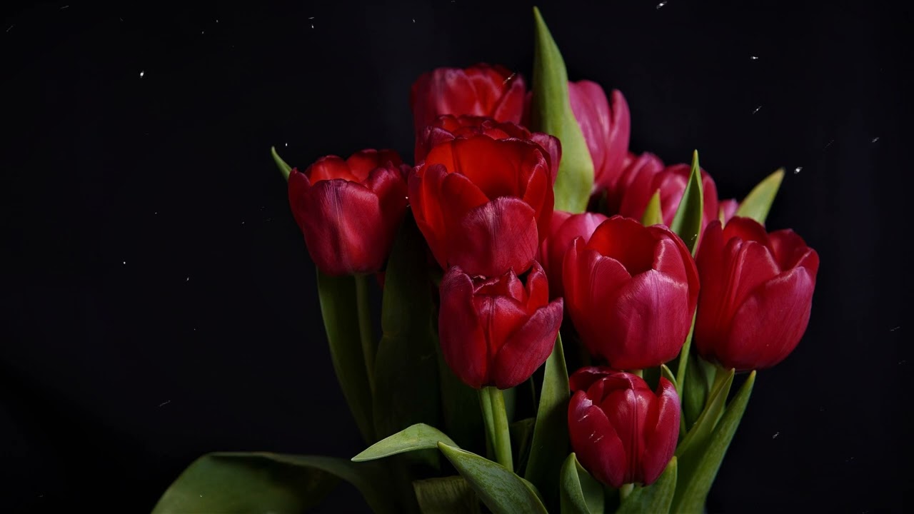 Best morning songs 2022 ~ English songs chill vibes music playlist~ Peace Your Mind - Relaxing Music