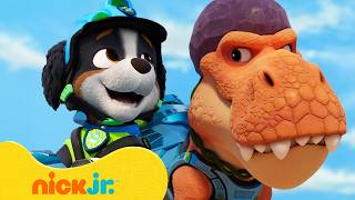 paw patrol teams up timmy t rex new dino island rescues
