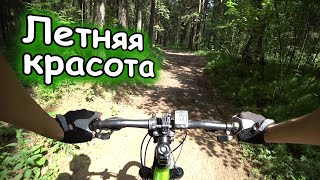 КОФЕ ☕НА ЧЕРНОМ ОЗЕРЕ / ВЕЛОПРОГУЛКА ПО ЛЕТНЕМУ ЛЕСУ🚴 (03.07.21)