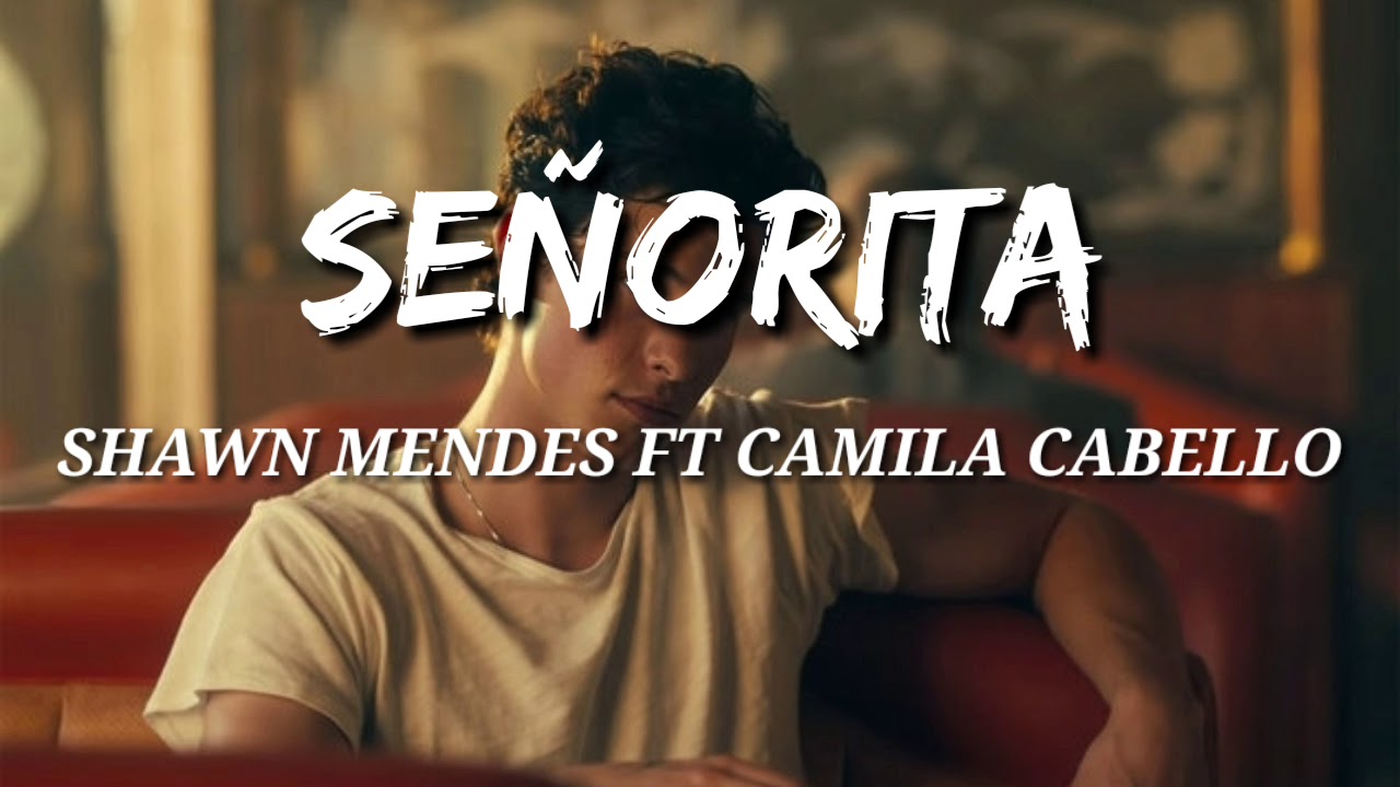 señorita - SHAWN MENDES FT CAMILA CABELLO (LYRIC)