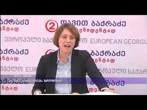 ელენე ხოშტარიას ბრიფინგი