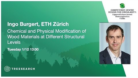 FibRe and Treesearch virtual seminar series: Ingo Burgert, ETH Zürich