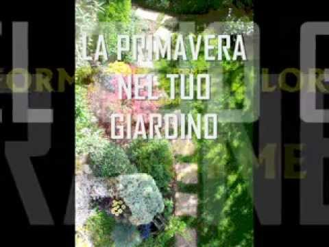 Video: Il Tuo Giardino Fiorito Di Primavera