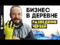 Бизнес в деревне Разведение червей 6 месяцев спустя Жизнь в деревне ТРАВАРТ  Андрей Протопопов 2714