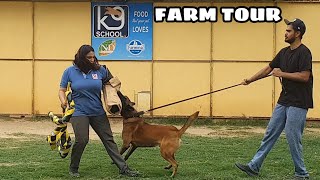 Farm Tour || K9 School Delhi || Adnan Khan | Working line gsd | Dutch Shepherd | Dog Kennel Scoobers