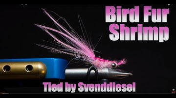 The Bird Fur Shrimp Fly Pattern Tutorial
