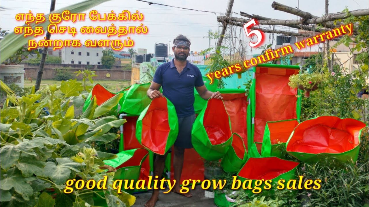 எந்த குரோ பேக்கில் எந்த செடி வைத்தால் நன்றாக வளரும் growbag sales #மாடிதோட்டம்#garden