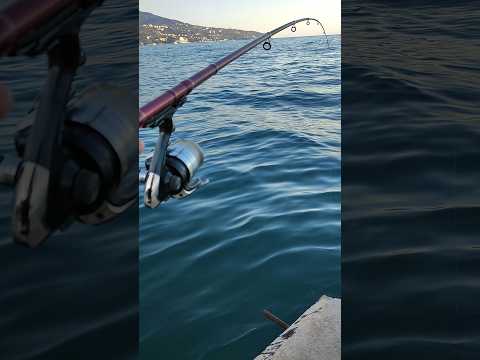 Морская рыбалка на море