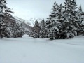 横手山スキー場第5リフトゲレンデを滑る
