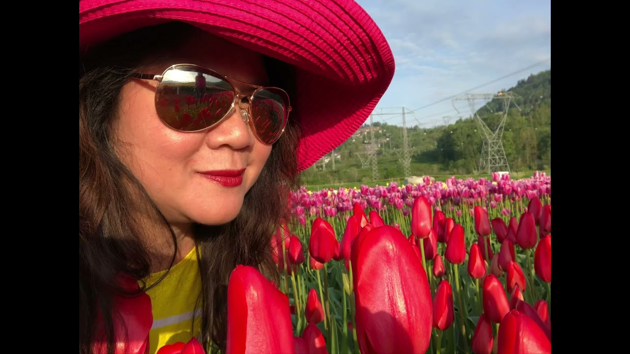 Tulips Festival at Abbotsford BC 2019