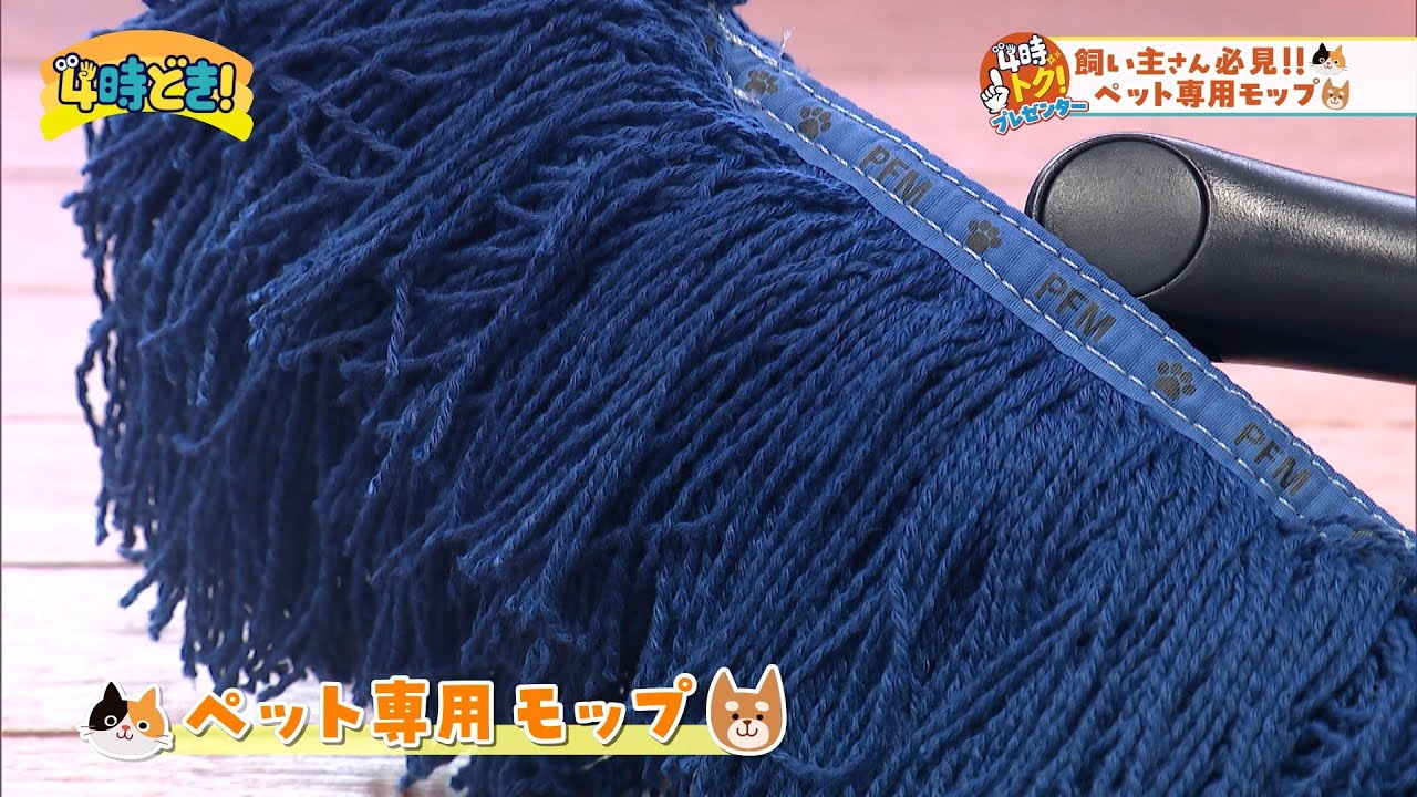抜け毛や猫砂もサッとお掃除！ダスキンのペット専用モップ　2025年6月18日（水）「4時どき！」