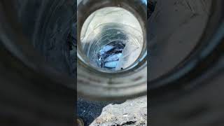 The Beauty of Sirum Island Pandami Sulu