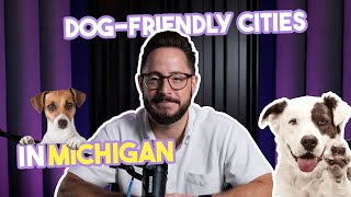 Best Dog Friendly Cities in Michigan